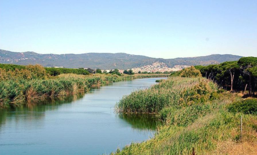 Espacios naturales del delta del Llobregat.